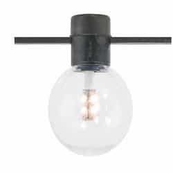 24WW LED Orbical Replacement Bulb for Festoon Light String