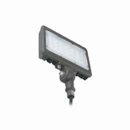 30W LED Flood Light, 150W Hal. Retrofit, Hardwired, 3300 lm, 5000K