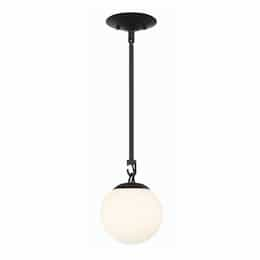 Orion Mini Pendant Fixture w/o Bulb, 1 Light, E12, Flat Black