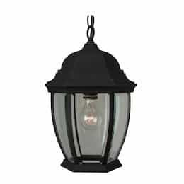 Bent Glass Cast Outdoor Pendant Fixture w/o Bulb, E26, Textured Black