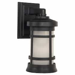 Small Resilience Outdoor Lantern Wall Sconce w/o Bulb, Textured Black