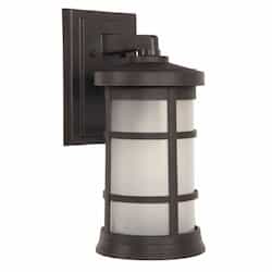 Large Resilience Outdoor Lantern Wall Sconce w/o Bulb, Bronze/Clear