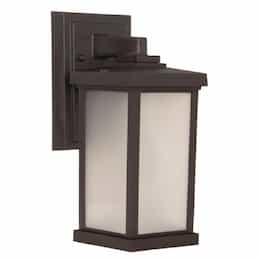 Small Resilience Outdoor Wall Sconce Fixture w/o Bulb, Bronze/Clear