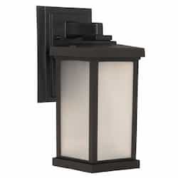 Small Resilience Outdoor Wall Sconce Fixture w/o Bulb, Black/Clear