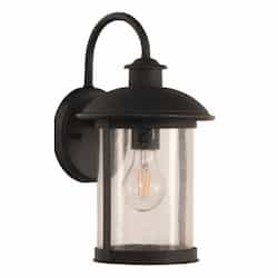 Small O'Fallon Outdoor Lantern Wall Sconce w/o Bulb, E26, Dark Bronze