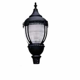 100W Clear Acorn LED Post Top Fixture w/Mogul Base, DLC, Black