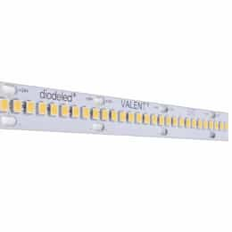 16.4-ft 0.9W/ft Valent High Density Tape Light, 24V, 3500K