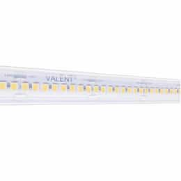 100-ft 1.72W/ft Valent High Density Tape Light, Wet, 24V, 3000K