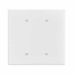 2-Gang Oversized Blank Wall Plate, Thermoplastic, White
