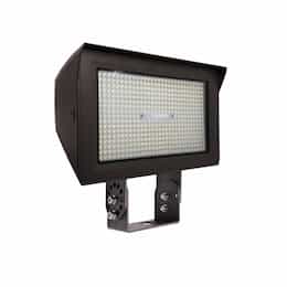 80-150W ARCY-Line TR Large Area Lights, 277-480V, Selectable CCT, BZ