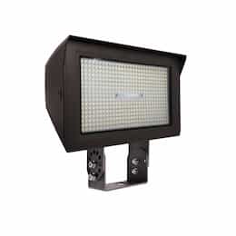 80-150W ARCY-Line TR Large Area Lights, 120-277V, Selectable CCT, BZ