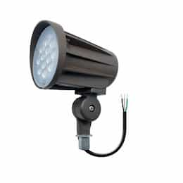 15/20/25W LED Bullet Flood w/ Knuckle, 120V-277V, Selectable CCT, BRZ