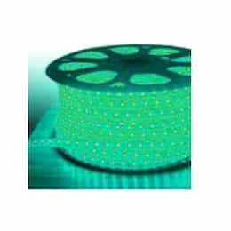 100-ft 4W/ft Architectural LED Strip Light, 90 lm, 120V, Green