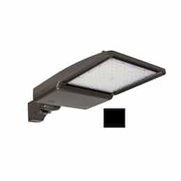 75W LED Shoebox Area Light, Direct Arm Mount, 277-528V, 0-10V Dim, 10870 lm, 3000K, Black