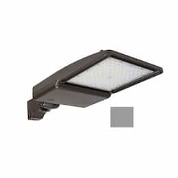 75W LED Shoebox Area Light, Direct Arm Mount, 277-528V, 0-10V Dim, 10870 lm, 3000K, Grey