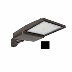 ESL Vision 75W LED Shoebox Area Light, Yoke Mount, 0-10V Dim, 277-528V, 11456 lm, 4000K, Black 