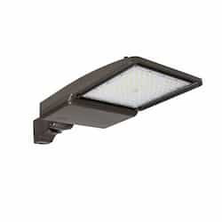 ESL Vision 75W LED Shoebox Area Light, Slip Fitter Mount, 0-10V Dim, 528V, 11456 lm, 4000K, Bronze