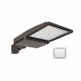 75W LED Shoebox Area Light w/ Direct Arm Mount, 0-10V Dim, 11456 lm, 4000K, White