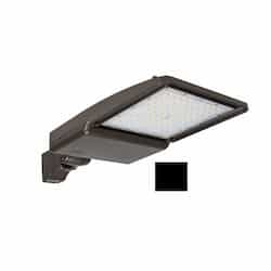 ESL Vision 75W LED Shoebox Area Light, Direct Arm Mount, 0-10V Dim, 277-528V, 12046 lm, 5000K, Black