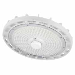 ESL Vision 180W Economy Round High Bay, 29.959 lm, 120V-277V, 5000K, White