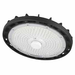 180W Economy Round High Bay, 29,959 lm, 120V-277V, 5000K, Black