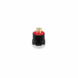 20 Amp Color Coded Plug, 2-Pole, 3-Wire, #14-8 AWG, 480V, Red