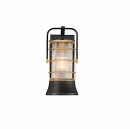 13-in 60W Rivamar Outdoor Wall Lantern, 1-Light, E26, 120V, Black/Gold