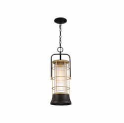 23-in 60W Rivamar Outdoor Pendant, 1-Light, E26, 120V, Black/Gold