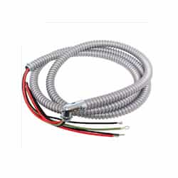 20-ft High Temperature Whip, 4-Wire
