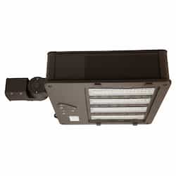 180 Watt Bronze LED Shoebox Light with Swivel Mount, 5000K
