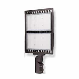 300W LED SekTor Floodlight w/ Slipfit Mount & 10kVA SP, 5000K