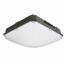 59W LED Canopy Light, Diffuse Medium, 7328 lm, 120V-277V, 4000K