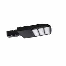 Magnalux 185W LED Shoebox Light Fixture w/ Adjust Slip Fitter, 5000K