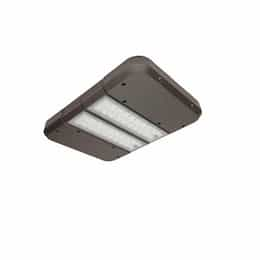 100W QuadroMAX Plus Series LED Area Light, 250W MH, 12275 lm, 5000K