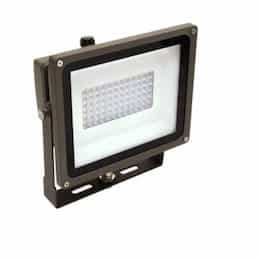 48.5W Small LED Flood Light w/ Narrow Beam, 500W QTZ/175W MH Retrofit, 6104 lm, 5000K