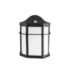 14W LED Outdoor Wall Lantern, 60W Inc Retrofit, 1200 lm, 2700K