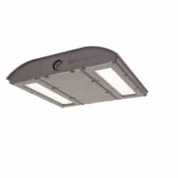 28W LED Canopy Area Light w/ Photocell, 0-10V Dim, 150W MH Retrofit, 2459 lm, 4000K