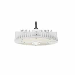 130W LED Round High Bay Pendant w/ Battery Backup, Dim, 17495 lm, 4000K, White