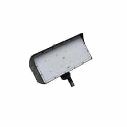 50W LED Medium Flood Light, Dimmable, Wide, 6900 lm, 5000K, Bronze