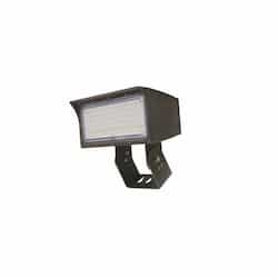 50W LED Medium Flood Light w/ Trunnion Mount, Dim, Wide, 6900 lm, 5000K, Bronze