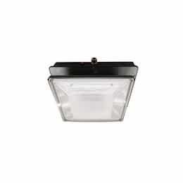 52W LED Canopy Light w/ -20 Deg Backup, Parking, 6352 lm, 120V-277V, 5000K