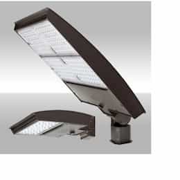 MaxLite 150W LED Area Light w/ Trunnion, Wide, 120V-277V, Selectable CCT, BRZ