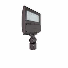 130W LED Flood Light w/ Slipfitter Knuckle Mount & Photocell, 4000K