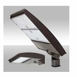 75W LED Area Light w/Trunnion, Wide, 277V-480V, Selectable CCT, BRZ