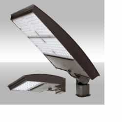 250W LED Area Light w/Trunnion, Narrow, 120V-277V, Selectable CCT, BRZ