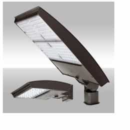 320W LED Area Light w/ Trunnion, Wide, 277V-480V, Selectable CCT, BRNZ