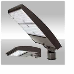 320W LED Area Light w/ Trunnion, Narrow, 277V-480V, Selectable CCT, BZ
