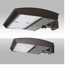 250W LED Area Light w/Adj Wall, Type 4N, 120V-277V, Selectable CCT, BZ