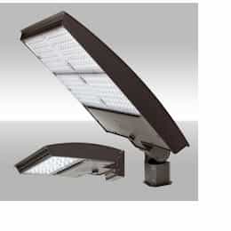 320W LED Area Light w/Trunnion, Type 3M, 277V-480V, Selectable CCT, BZ