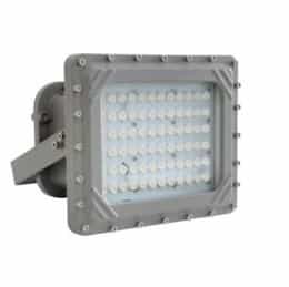 100W Hazard Rated LED High Bay, 250W MH Retrofit, 12000 lm, Division I